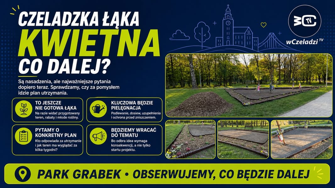 Co dalej z czeladzką łąką kwietną w Parku Grabek? 🌱🌼
